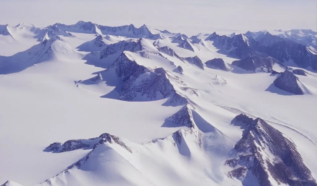 Is Antarctica a Desert or Tundra? [Desert – Here’s Why]