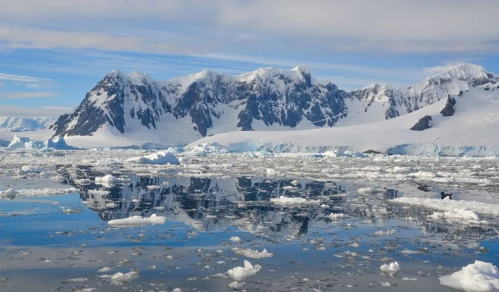 How Does Climate Change Impact Antarctica? How Can We Help in 2023? [According to an Expert]