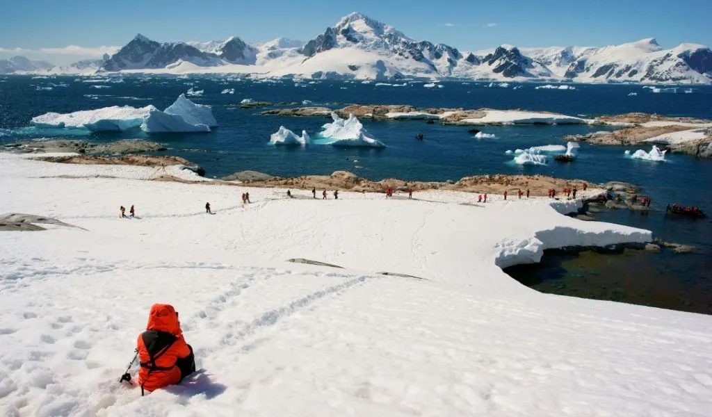 19 Best Things to Do in Antarctica