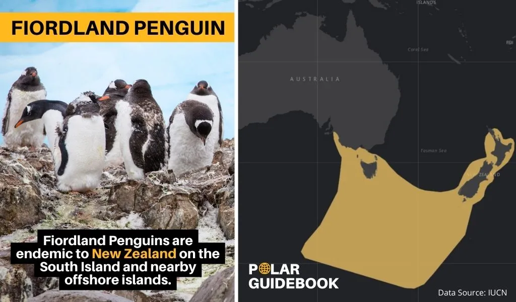 adelie penguin habitat map