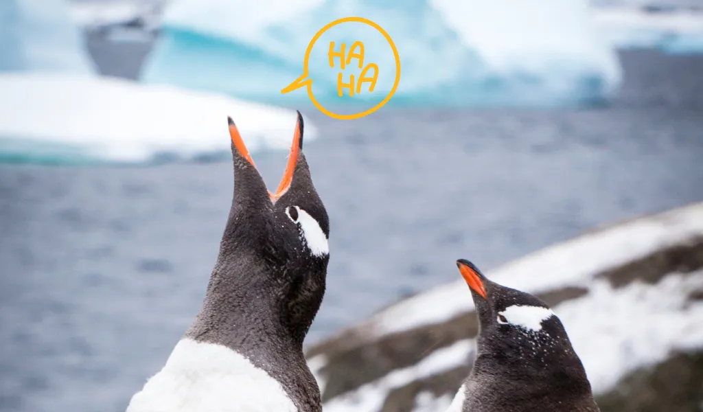 You are currently viewing 63 Best Penguin Jokes [One-Liners, Kid Jokes + Dad Jokes]
