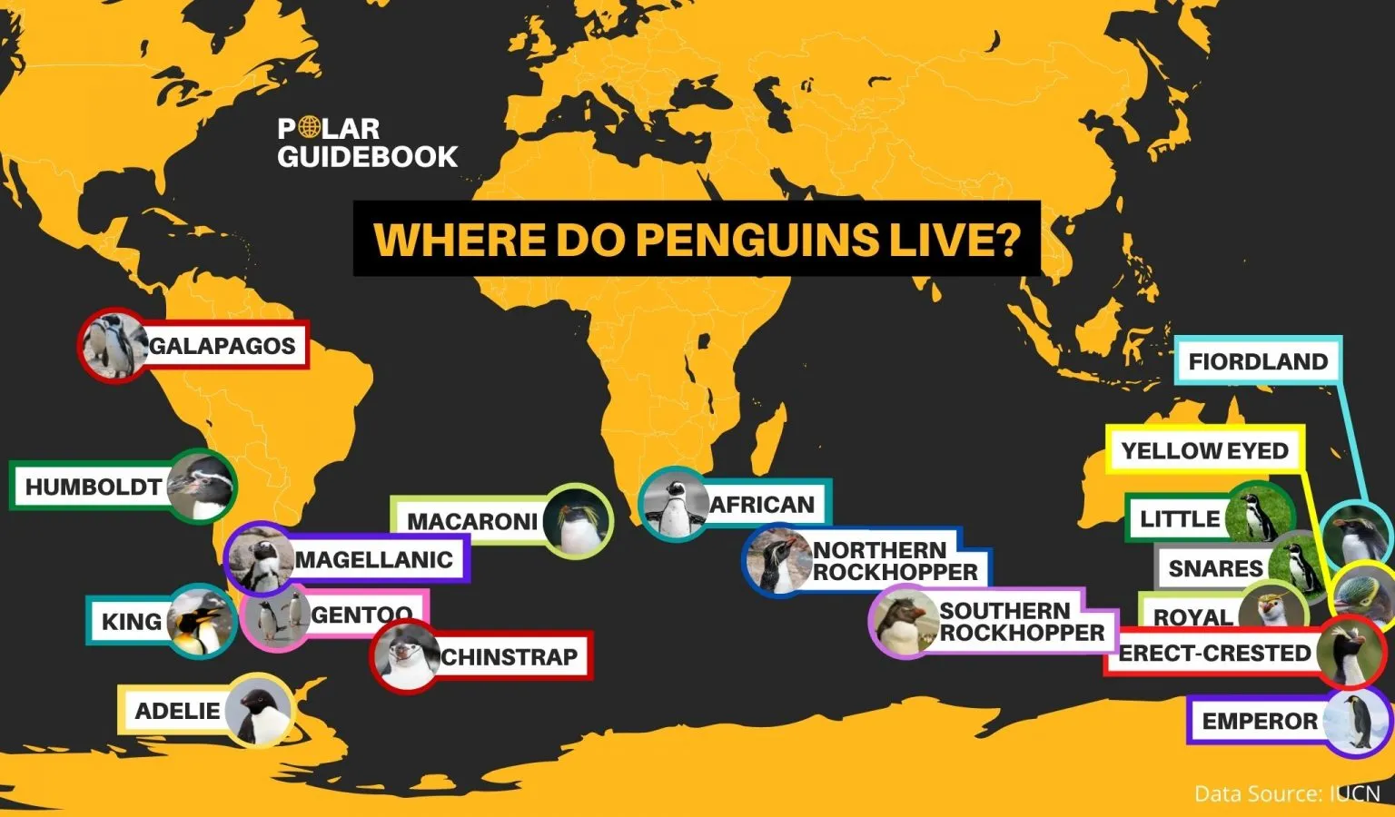where do penguins live map        <h3 class=